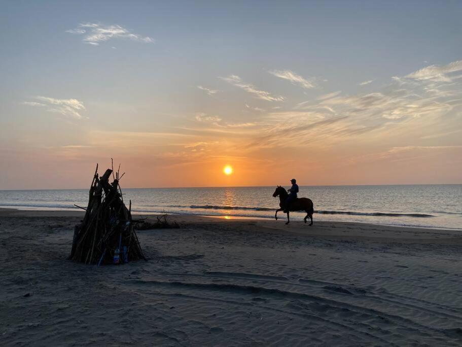 Casa De Playa Palma Real No. 3 Holiday home Cartagena